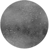 Circle visual