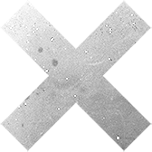 X mark